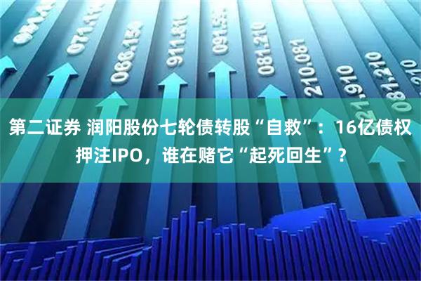 第二证券 润阳股份七轮债转股“自救”:16亿债权押注IPO,谁在赌它“起死回生”?