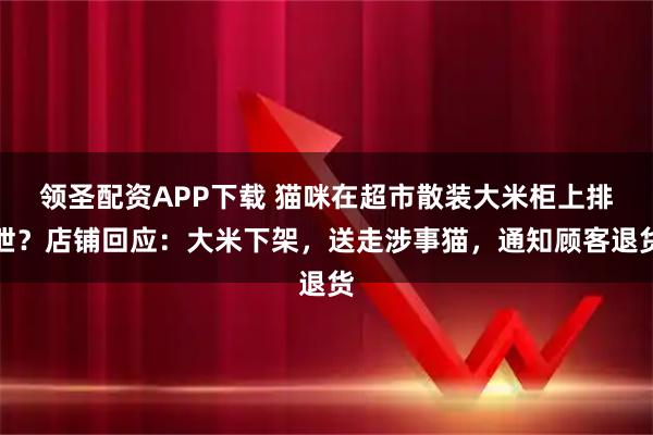 领圣配资APP下载 猫咪在超市散装大米柜上排泄?店铺回应:大米下架,送走涉事猫,通知顾客退货
