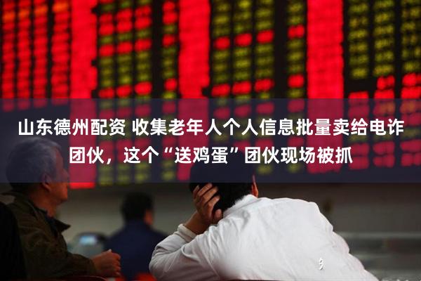 山东德州配资 收集老年人个人信息批量卖给电诈团伙，这个“送鸡蛋”团伙现场被抓